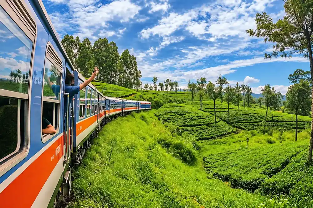 Highland train crossing the tea country near Nuwara Eliya